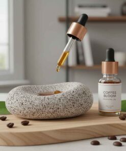 หินดูดซับ